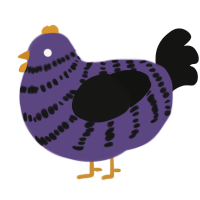 A overcast and black chicken with a bar pattern