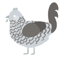 A mist and grey chicken with a lace pattern