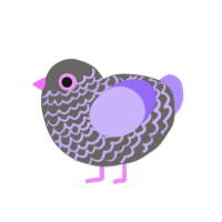 Larry, a grey and lilac chicken with a lace pattern