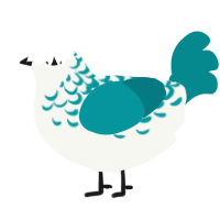 A white and teal chicken with a half-lace pattern