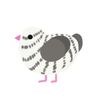 Cyclist Paul, a white and grey chicken with a bar pattern