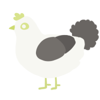 A white and grey chicken
