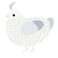 A white and mist chicken with a lace pattern