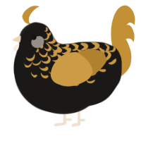 A sable and gold chicken with a half-lace pattern