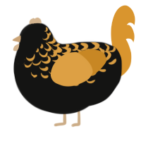 A black and orange chicken with a half-lace pattern