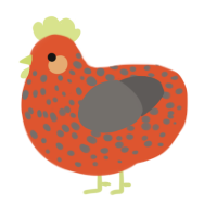 A vermilion and grey chicken with a speckle pattern