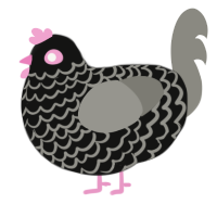 A black and ash chicken with a lace pattern