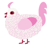 A white and pink chicken with a double-lace pattern