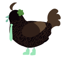 A white and silver chicken with a double-lace pattern