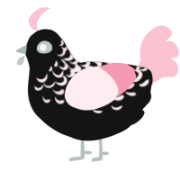 A black and rose chicken with a half-lace pattern