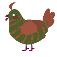 A olive and russet chicken with a bar pattern