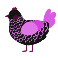 A black and orchid chicken with a lace pattern