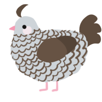 A mist and bark chicken with a lace pattern