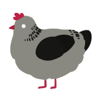 A ash and black chicken with a neck-band pattern