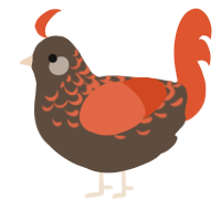 A bark and vermilion chicken with a half-lace pattern