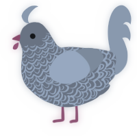 A grey and ash chicken with a double-lace pattern