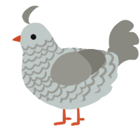 A silver and ash chicken with a lace pattern