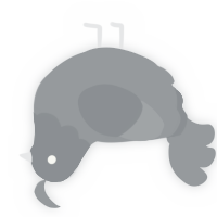 A grey chicken with a head pattern