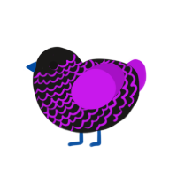 Galaxy, a sable and amethyst chicken with a lace pattern