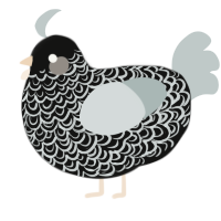 A black and silver chicken with a double-lace pattern
