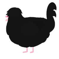 A black chicken with a lace pattern