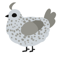 A mist and ash chicken with a speckle pattern