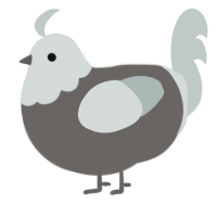 A grey and silver chicken with a head pattern