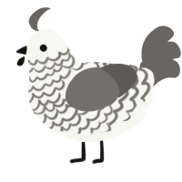 A white and grey chicken with a lace pattern