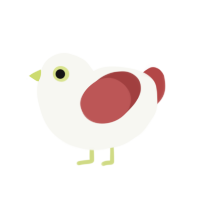 A white and red chicken