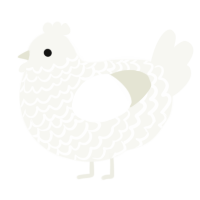 A white chicken with a lace pattern