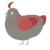 A ash and red chicken with a half-lace pattern