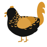 A black and orange chicken with a half-lace pattern