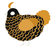 A black and orange chicken with a lace pattern
