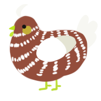 A russet and white chicken with a bar pattern