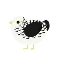 Inkblot, a white and sable chicken with a half-lace pattern