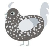 A grey and mist chicken with a speckle pattern