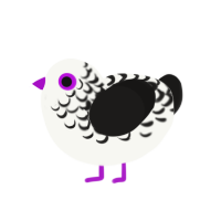 Sumi, a white and sable chicken with a half-lace pattern