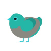 chiku 3, a ash and turquoise chicken with a head pattern