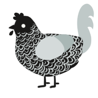 A sable and silver chicken with a double-lace pattern