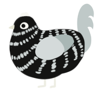 A black and silver chicken with a bar pattern