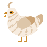 A cream and beige chicken with a bar pattern
