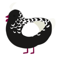 A sable and white chicken with a half-lace pattern