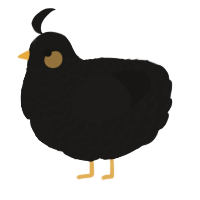 A sable chicken with a lace pattern