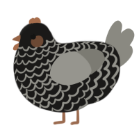 A sable and ash chicken with a lace pattern