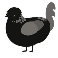 A black and grey chicken with a neck-speckle pattern