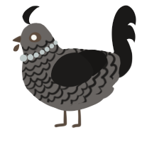 A grey and sable chicken with a lace pattern