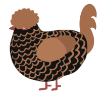A black and brown chicken with a lace pattern