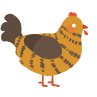 A orange and bark chicken with a bar pattern