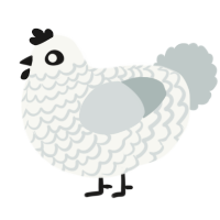 A white and silver chicken with a lace pattern