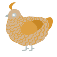 A beige and orange chicken with a lace pattern